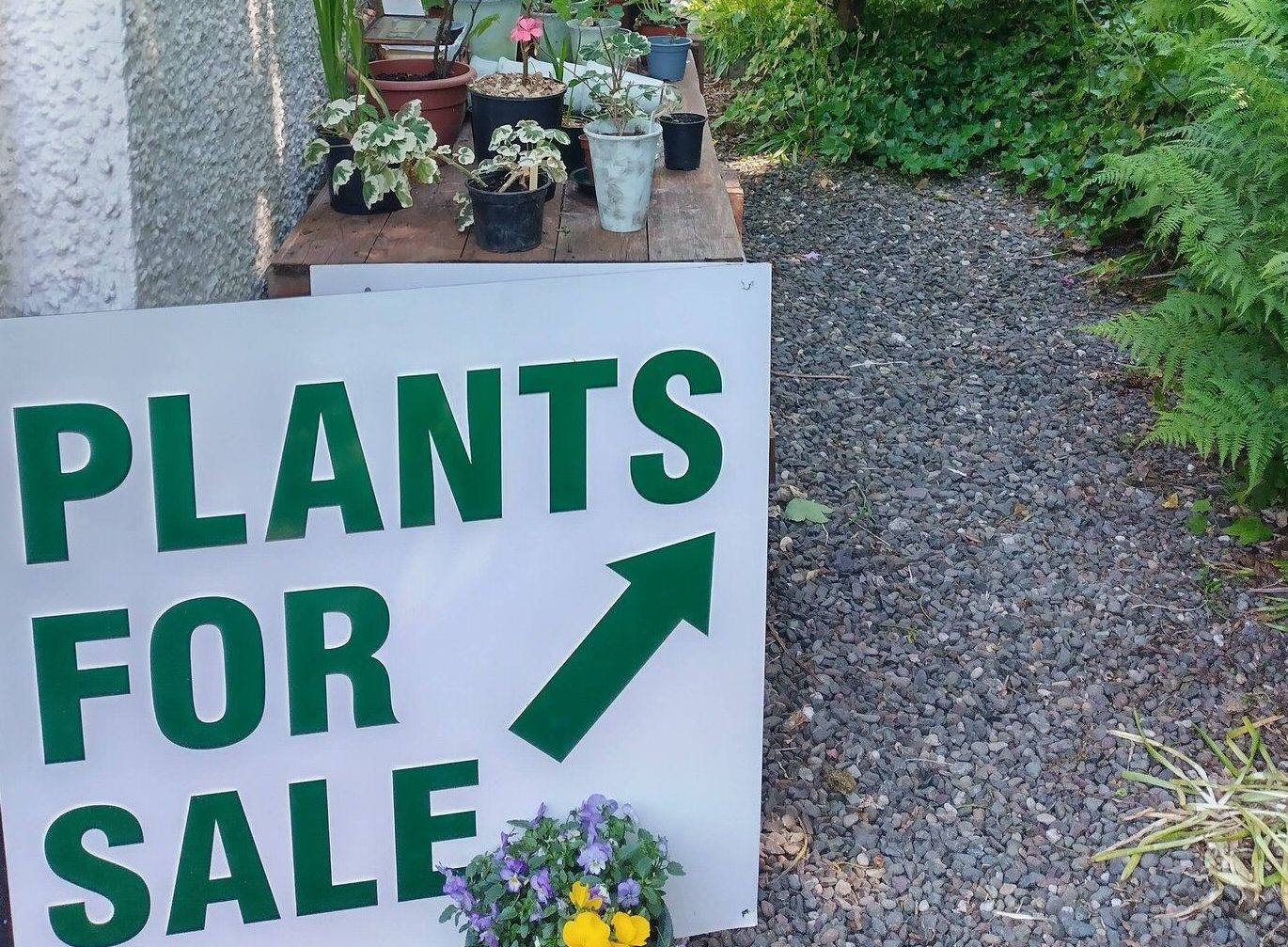 Our plant stall is open 24/7.